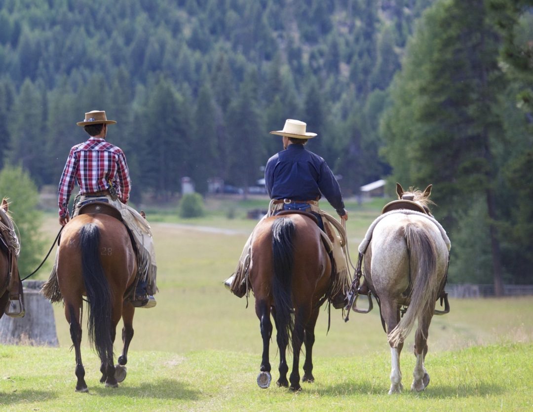 Internship Pamphlet Montana Working Cattle Ranch McGinnis Meadows